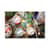 PCTYL2508 Image Thumbnail 6