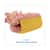 BWK501OR Image Thumbnail 5
