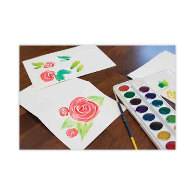 PACP4935 Product Image 2