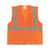 PID302MVGZORL Image Thumbnail 1