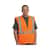PID302MVGZORL Image Thumbnail 2