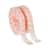 MMMRF6740 Image Thumbnail 4