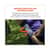 EGO16592 Image Thumbnail 7