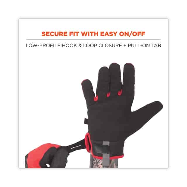 EGO17924 Product Image 2