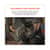 EGO23481 Image Thumbnail 10