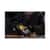 EGO16454 Image Thumbnail 1