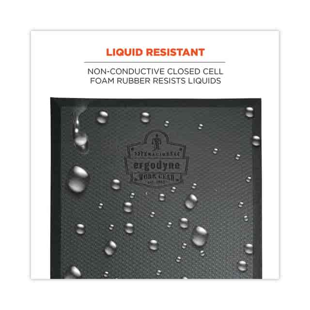 EGO18391 Product Image 2