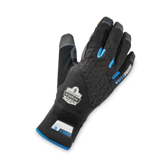EGO17386 Product Image 3