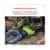 EGO18387 Image Thumbnail 2