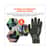 EGO18034 Image Thumbnail 3