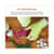 EGO18014 Image Thumbnail 5