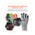 EGO17884 Image Thumbnail 6