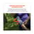 EGO16593 Image Thumbnail 4