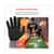 EGO10366 Image Thumbnail 3