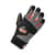 EGO17704 Image Thumbnail 1