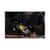 EGO16453 Image Thumbnail 2