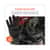 EGO18032 Image Thumbnail 6
