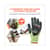 EGO17832 Image Thumbnail 7