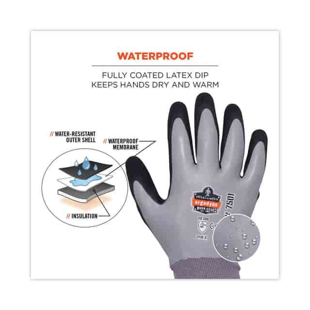 EGO17634 Product Image 9