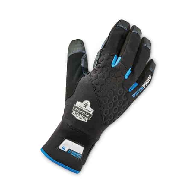 EGO17384 Product Image 4