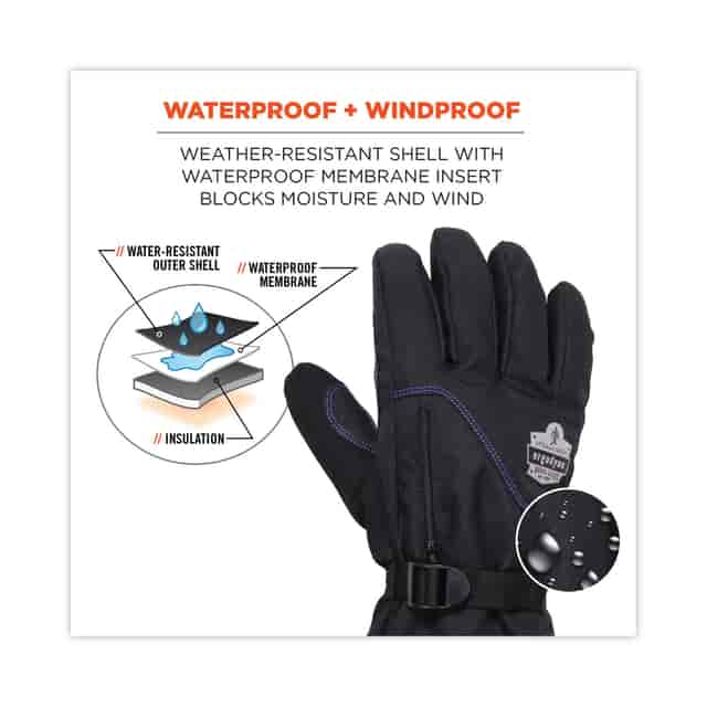 EGO17605 Product Image 9