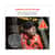 EGO23481 Image Thumbnail 15