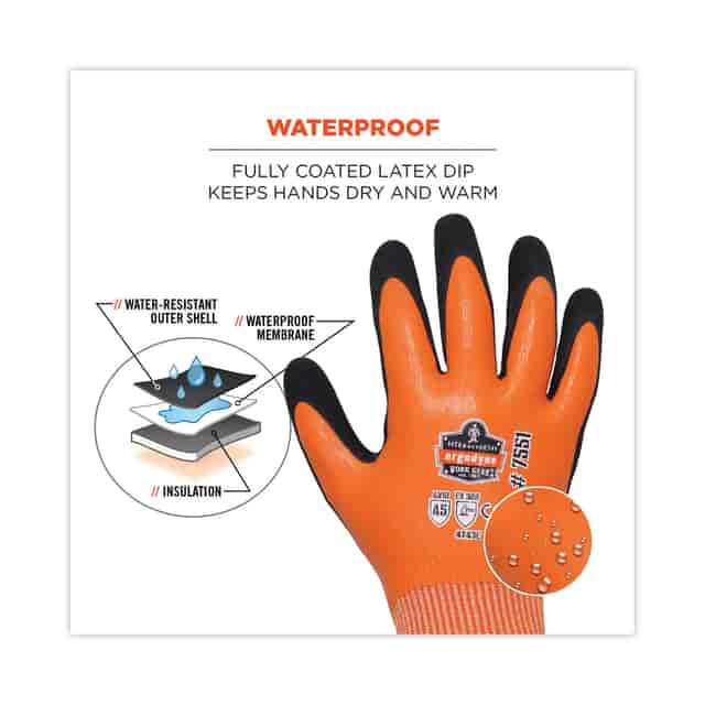 EGO17674 Product Image 10