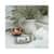 BWKNO3SOAP Image Thumbnail 3