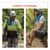 EGO12410 Image Thumbnail 5