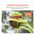 EGO12595 Image Thumbnail 2