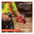 EGO12668 Image Thumbnail 2