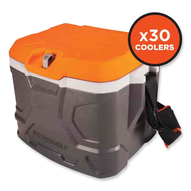 EGO13172 Product Image 3