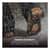 EGO16753 Image Thumbnail 5