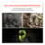 EGO16835 Image Thumbnail 2
