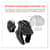 EGO16859 Image Thumbnail 4