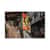 EGO21303 Image Thumbnail 3