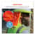 EGO29051 Image Thumbnail 3