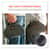 EGO13187 Image Thumbnail 4