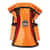 EGO13638 Image Thumbnail 1
