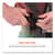 EGO13696 Image Thumbnail 4