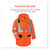 EGO24315 Image Thumbnail 7
