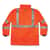 EGO24377 Image Thumbnail 1