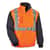 EGO25519 Image Thumbnail 1