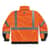 EGO25582 Image Thumbnail 1
