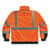 EGO25584 Image Thumbnail 1