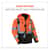 EGO25585 Image Thumbnail 6