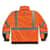 EGO25586 Image Thumbnail 1