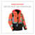 EGO25586 Image Thumbnail 6