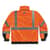 EGO25588 Image Thumbnail 1