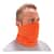 EGO42109 Image Thumbnail 1